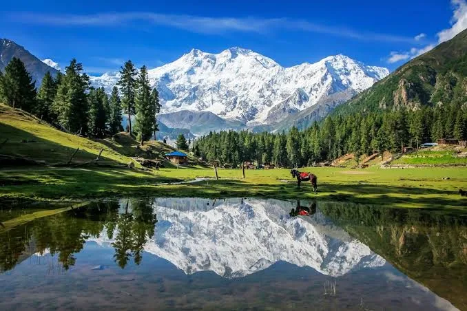 Diamer