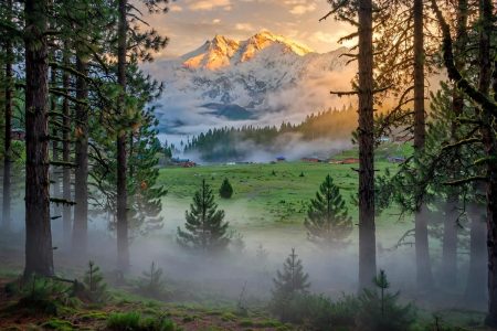 Fairy Meadows Complete Guide