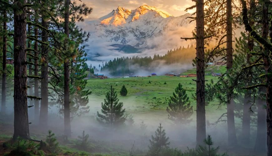 Fairy Meadows Complete Guide